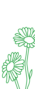 SPC logo and flowers banner
