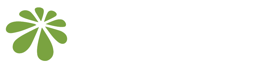 Safer Central Logo